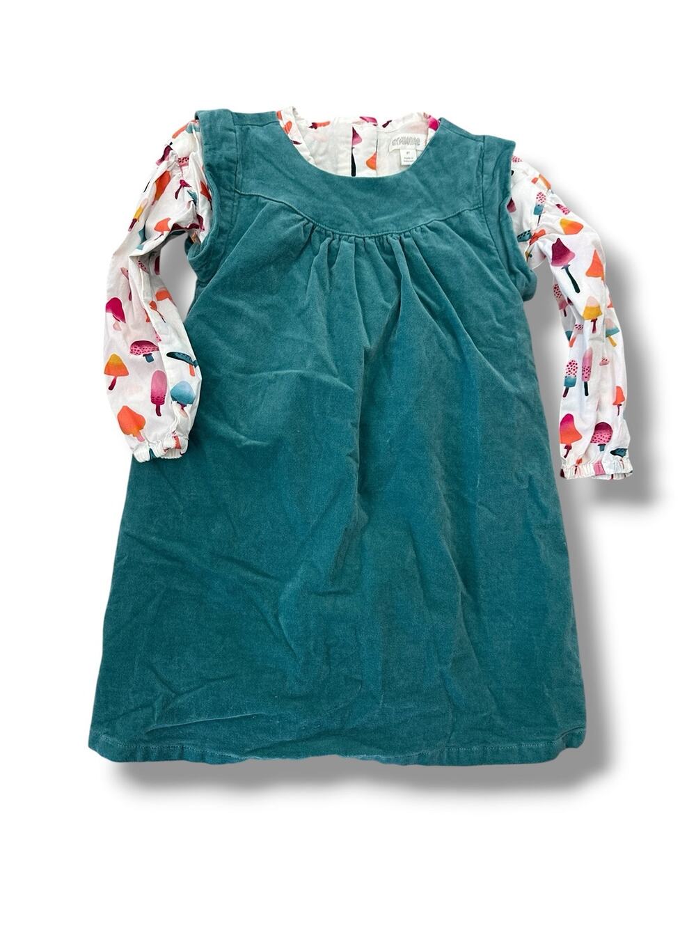 Gymboree Fall Mushroom Set 2T